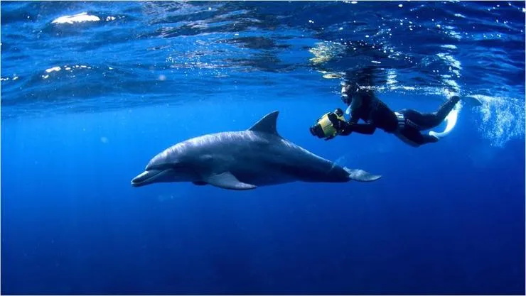 GPT-4o深度体验10大场景！可能ComfyUI工作流真不用学了