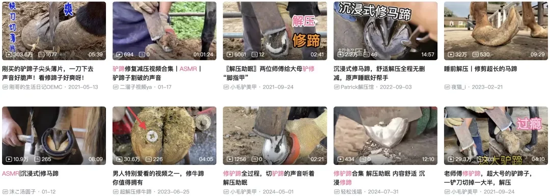 我花10美元买的提示词，免费教你用AI复刻外网百万赞视频